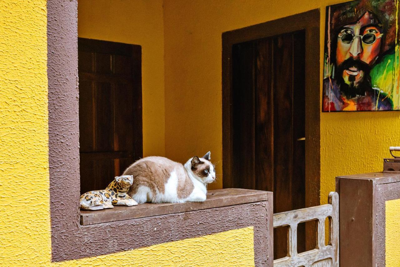Chales Sol Araquari Exterior photo