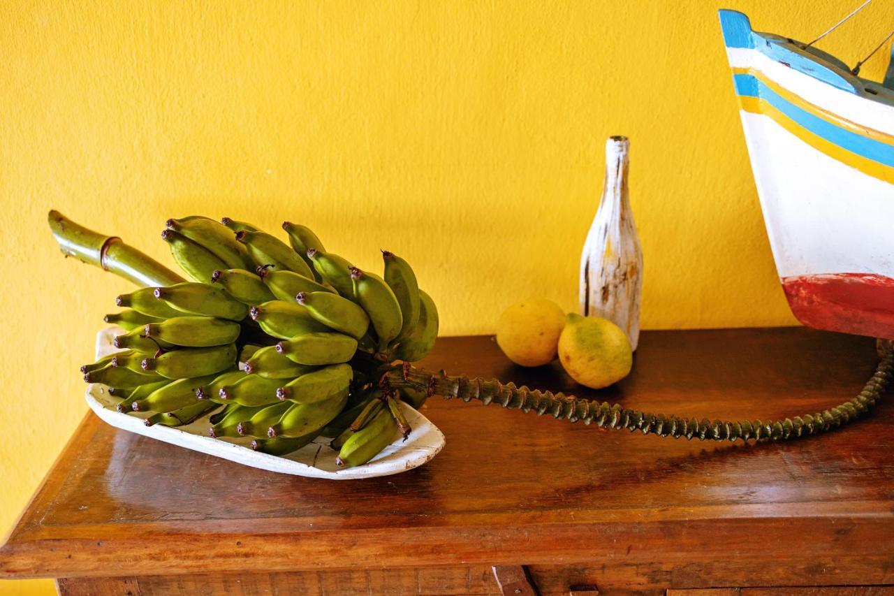 Chales Sol Araquari Exterior photo