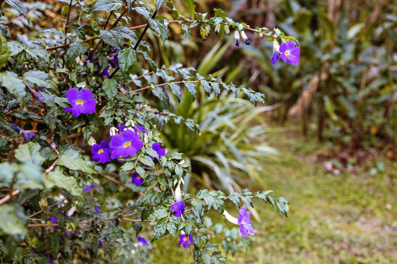 Chales Sol Araquari Exterior photo