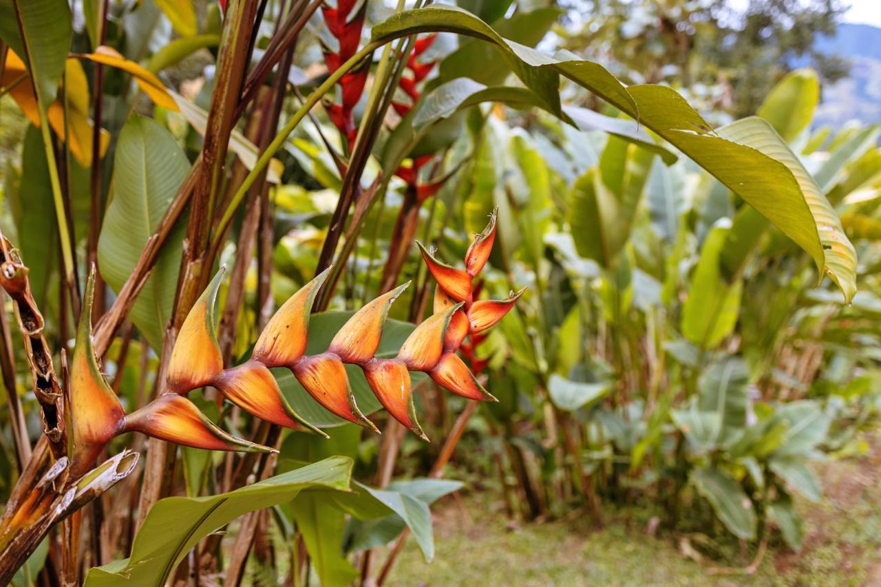 Chales Sol Araquari Exterior photo