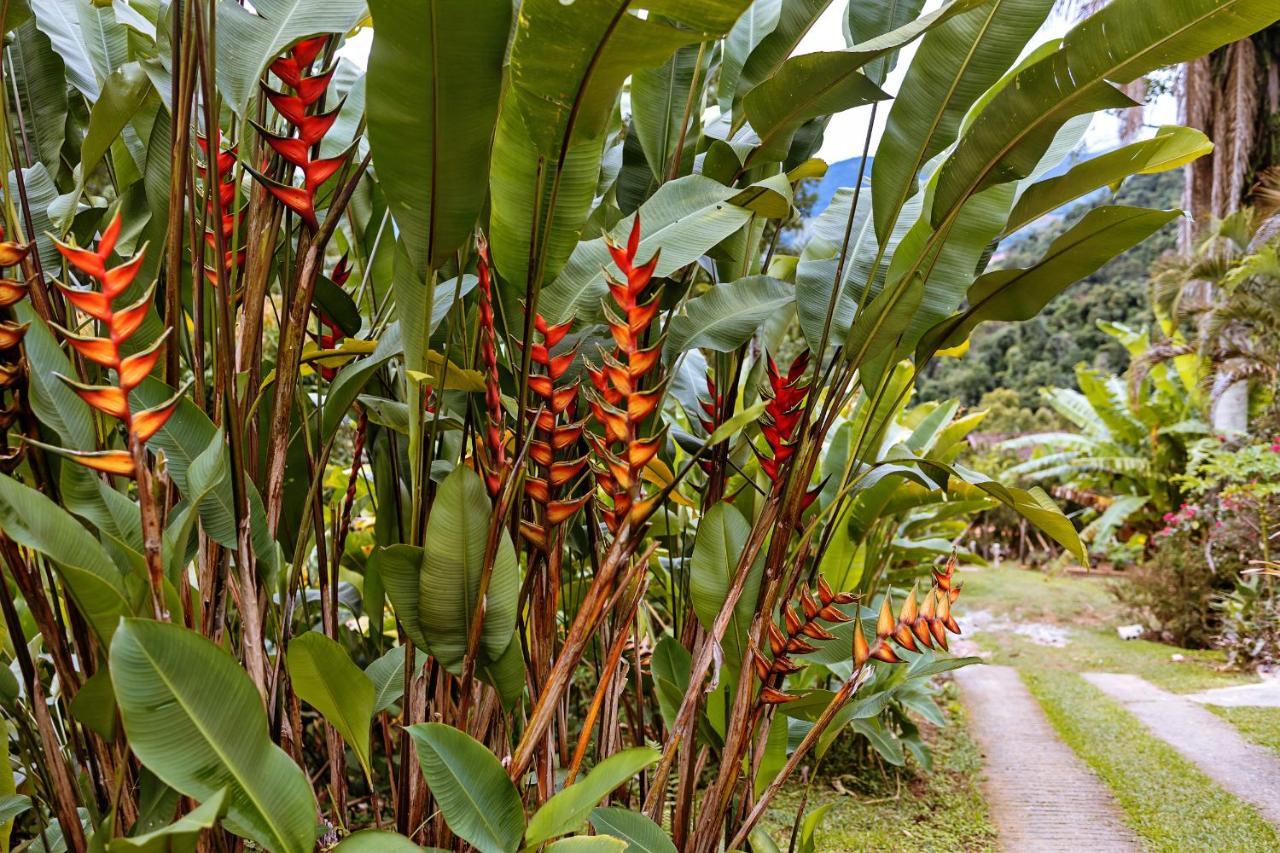 Chales Sol Araquari Exterior photo